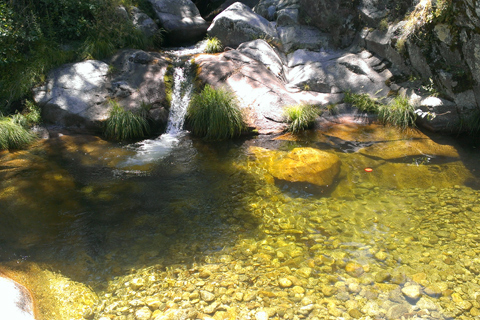 Casa Rural El Rincon de Gredos