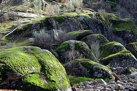 Casa Rural El Rincon de Gredos