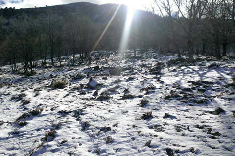 Casa Rural El Rincon de Gredos
