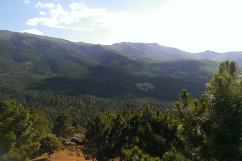 Casa Rural El Rincon de Gredos