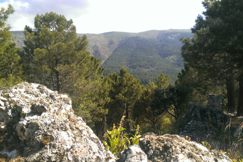 Casa Rural El Rincon de Gredos