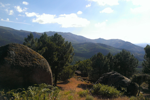 Casa Rural El Rincon de Gredos
