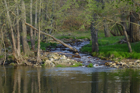 Casa Rural El Rincon de Gredos