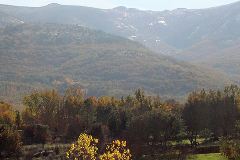 Casa Rural El Rincon de Gredos