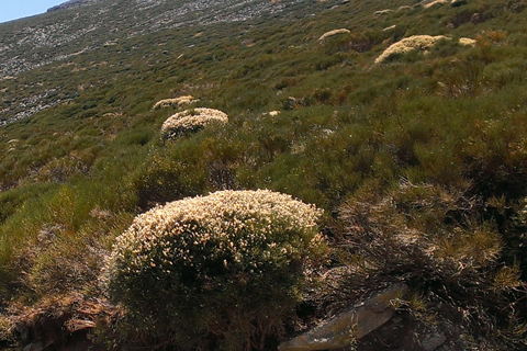 Casa Rural El Rincon de Gredos