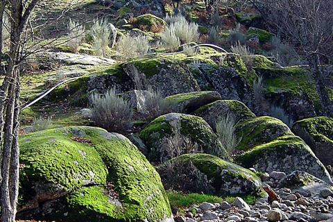 Casa Rural El Rincon de Gredos