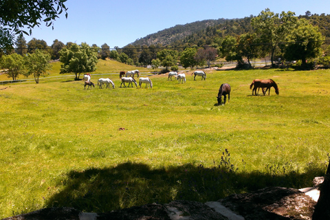 Casa Rural El Rincon de Gredos
