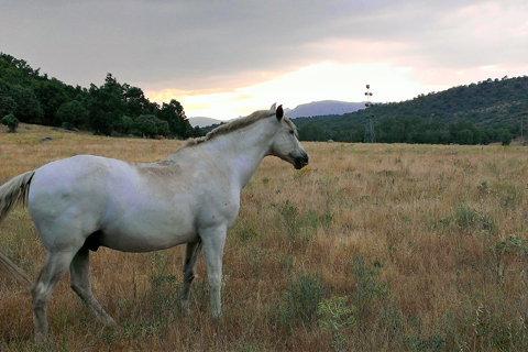 Casa Rural El Rincon de Gredos