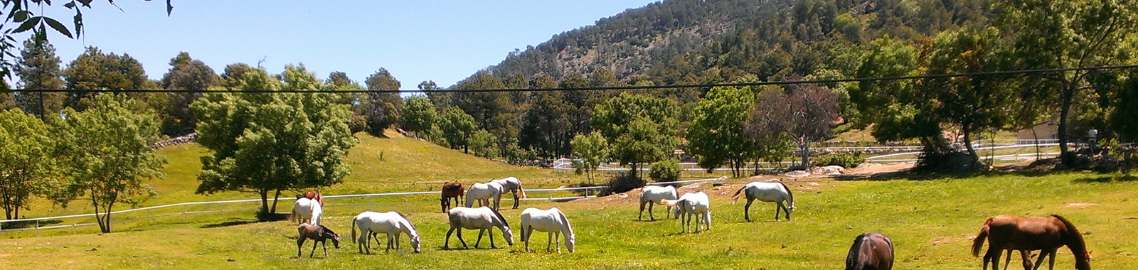 Casa Rural El Rinc�n de Gredos